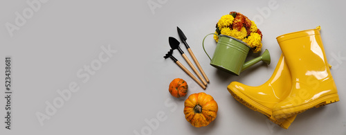 Beautiful chrysanthemum flo...