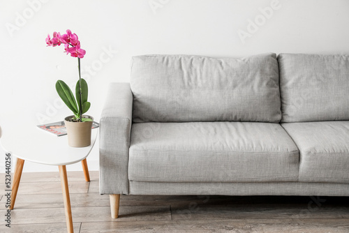 Sofa and beautiful orchid f...