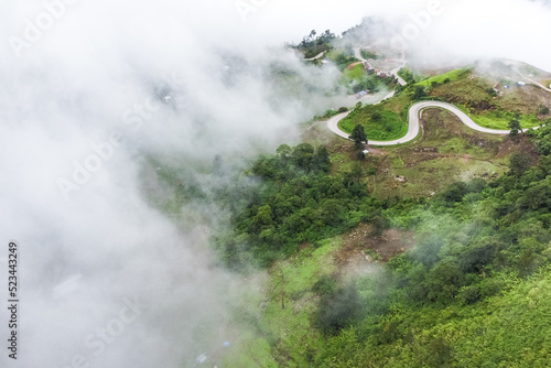 Top view various layers of trees and plants on a mountain side in the midst of fog.The fertile forest was shrouded in mist.