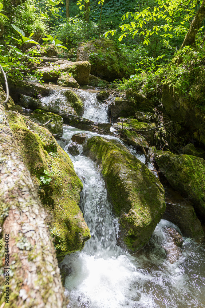 Fototapeta premium Mountain river, sources in the canyon of the stone bed, panorama of the area, summer season, in nature