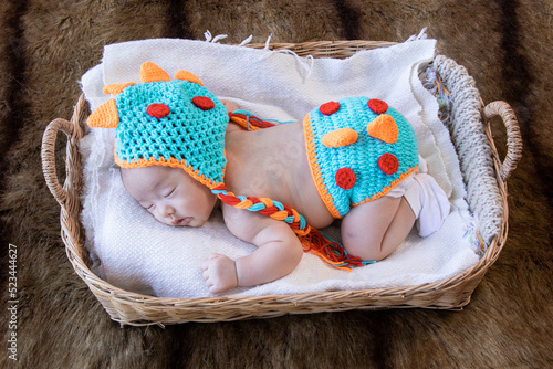 Selective focus Asian newborn baby deepy sleeping in basket on brown color carpet wool, adorable infant wearing blue dinosaur knit sweater lying on wicker basket with safe and comfortable . photo