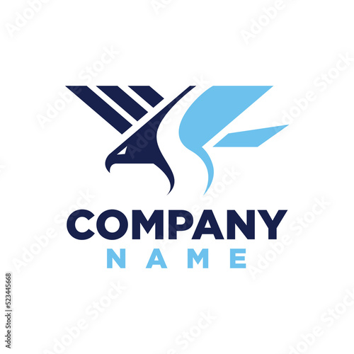 Eagle, accountant and river logo. Suitable for companies that focus on accounting and the like.