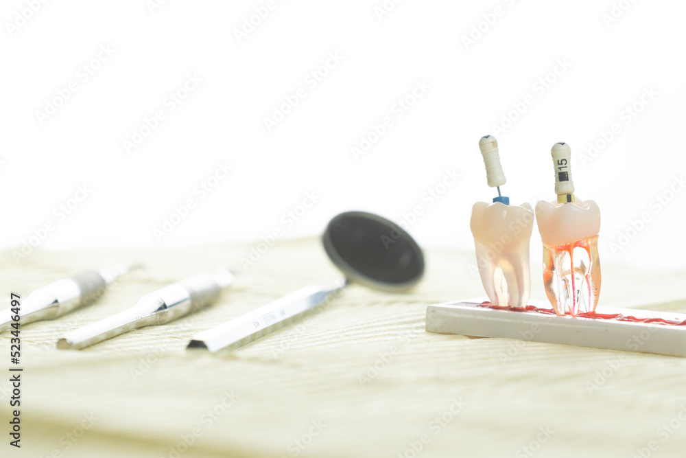 tooth endodontics - obrazy, fototapety, plakaty 