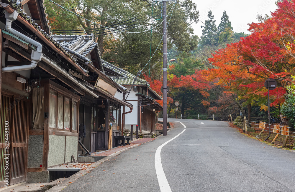 Country road in Nara, Japan in autumn season