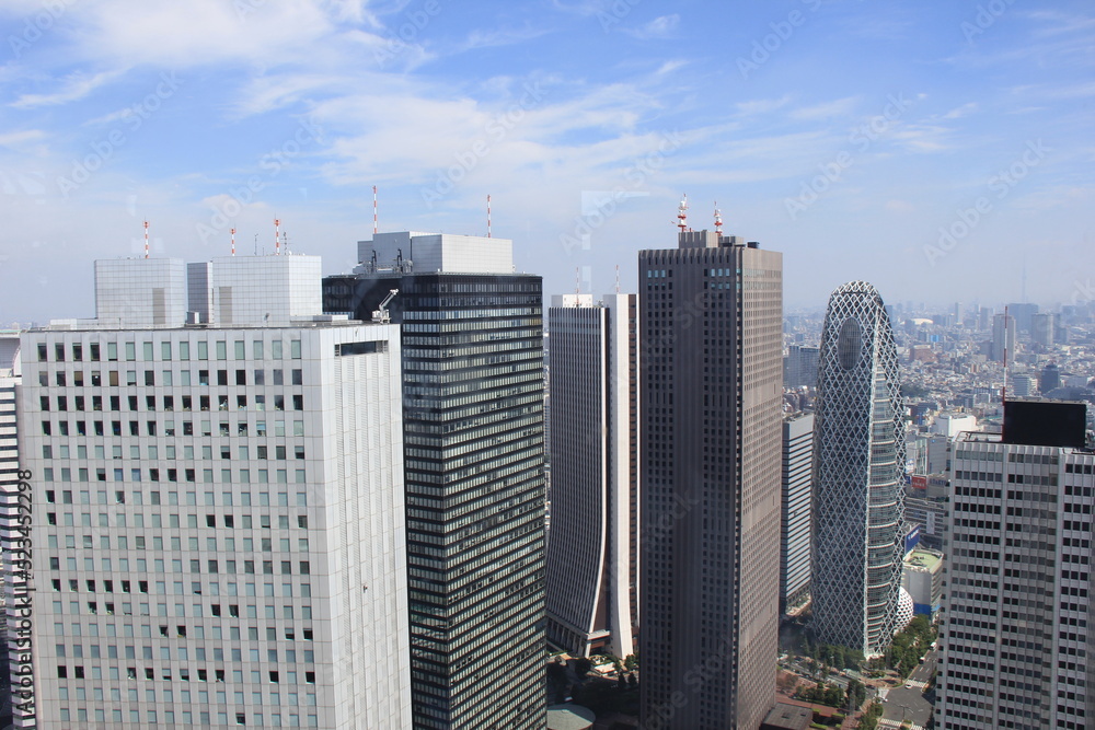 Obraz premium 高層建築が立ち並ぶ東京都の風景