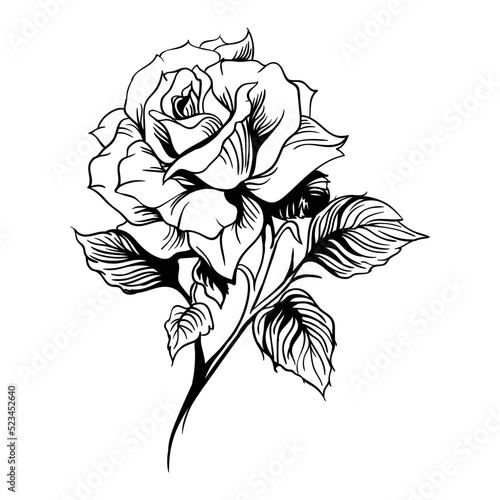Hand drawing style of rose icon vector. Suitable for plants and flowers sign or symbol.