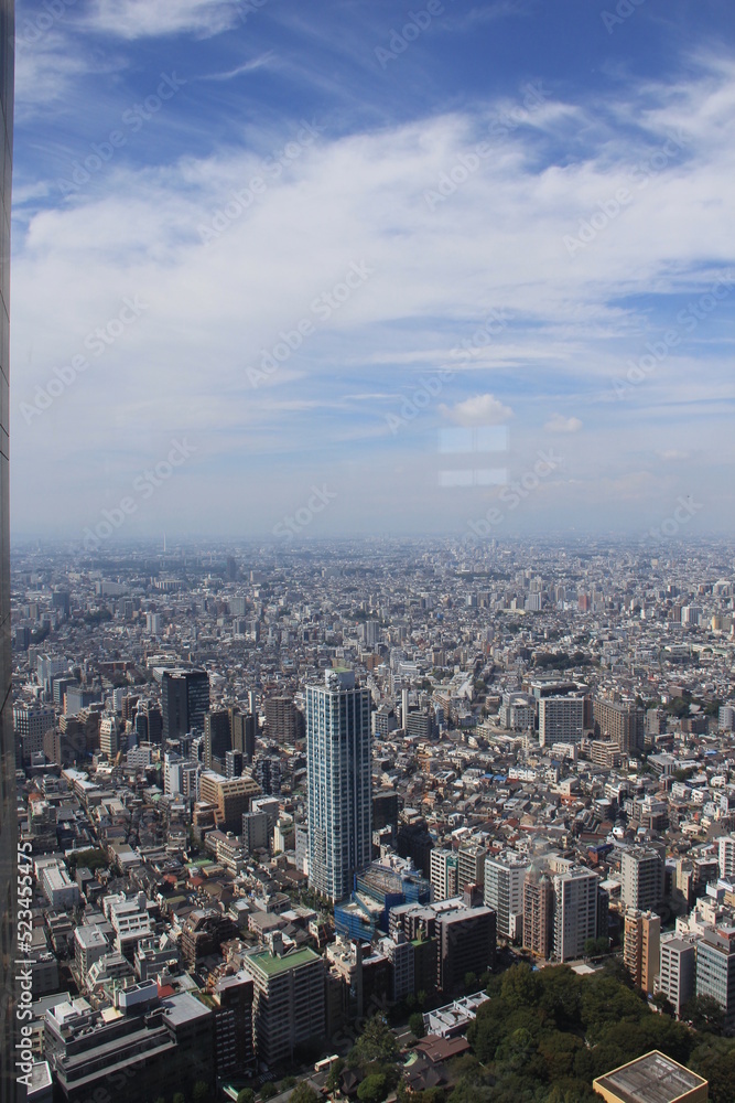 Obraz premium 建物が密集している東京都の風景