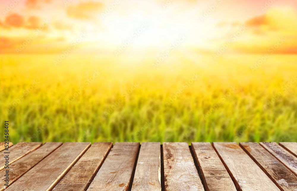 Wooden table top on blur rice field background in daytime.Harvest rice or whole wheat.For montage product display or design key visual layout.View of copy space. Wooden table top on blur rice field background in daytime.Harvest rice or whole wheat.For montage product display or design key visual layout.View of copy space.