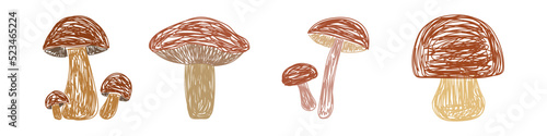 Mushrooms set. Hand drawn vector illustration. Pen or marker doodle sketch