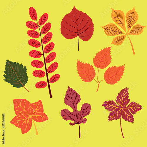 Simple and attractive background of leaves is an autumn background for the design of the composition of posters  postcards  stickers  decor  school decor  in orange tones. Leaves 