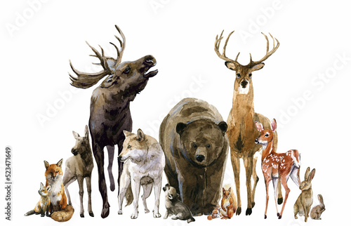 Beautiful composition with watercolor hand drawn forest wild deer elk fox bear wolf rabbit squirrel animals with babies. Stock illustration.