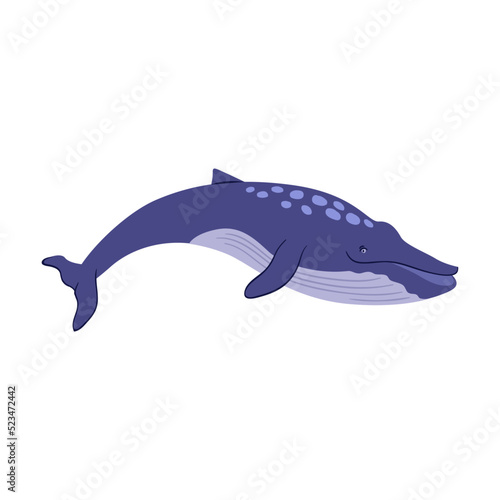 Various marine animals flat icon. Cartoon cute blue whale isolated vector illustration. Sea or ocean underwater life