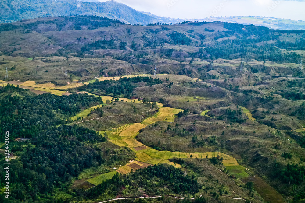 Fototapeta premium landscape of rice fields in the highlands of Balige, North Sumatra