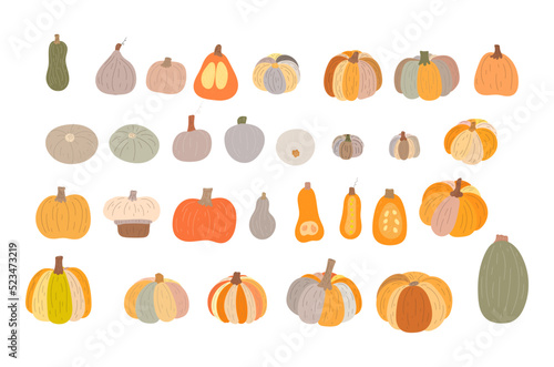 set of pumpkins drawn vector illustration