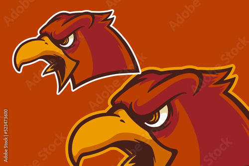 eagle head mascot vector il...