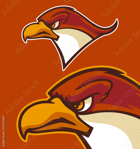 eagle head mascot vector illustration cartoon style