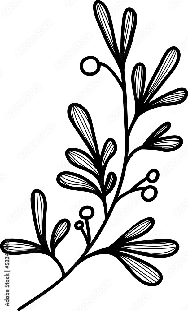line art botany plant branch leaves black and white transparent background