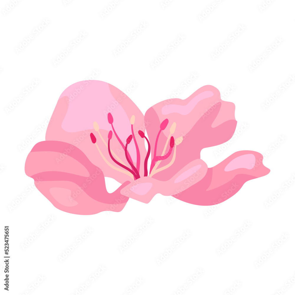 Sakura blossom. Pink flowers. Spring in Asia, nature, blooming Sakura blossom. Pink flowers. Spring in Asia, nature, blooming