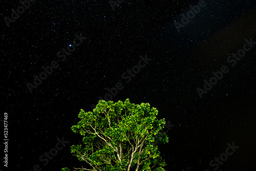 尾瀬の星空