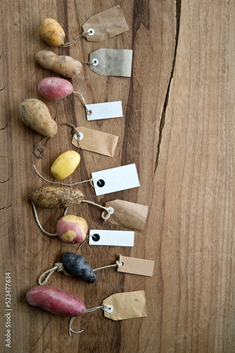 Studio shot of different varieties of labeled potatoes flat laid against wooden background