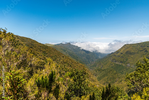 View from Levada do Alecrim in Madeira