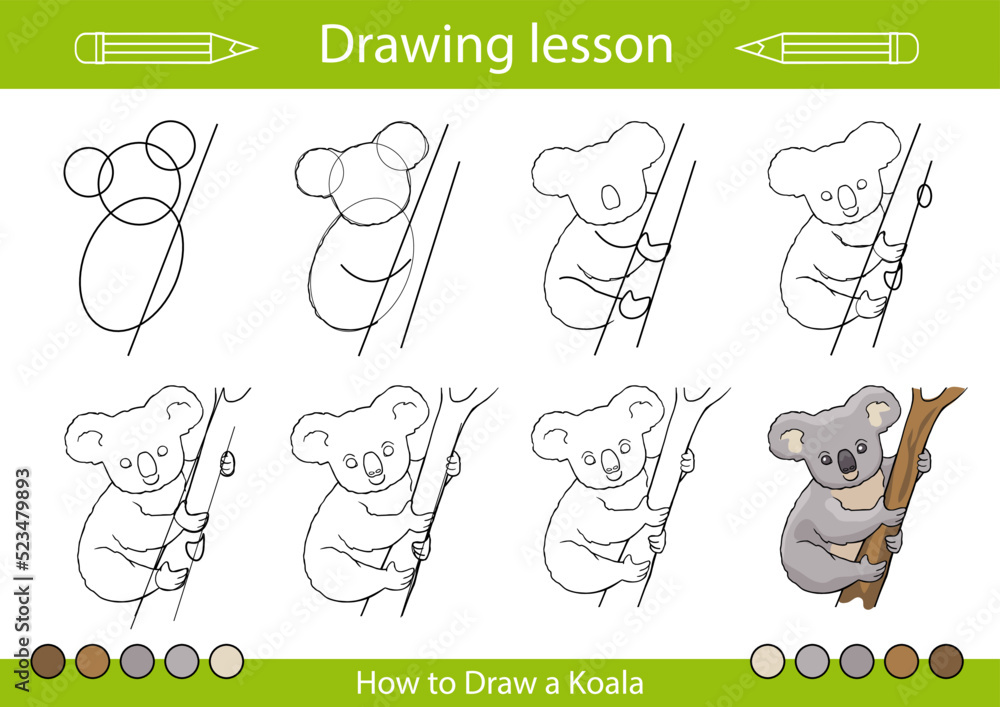 Drawing Tutorial How To Draw A Koala Kids Education Worksheet And Drawing Tutorial How To Draw A Koala Kids Education Worksheet And