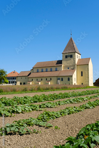 Germany, Baden-Wurttemberg, Reichenau, Crops in front ofChurch of Saint George photo