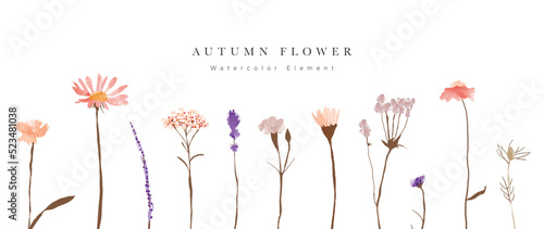 Collection of floral elements in watercolor. Set of autumn wild flowers, plants, branches, leaves and herb. Hand drawn of fall season blossom garden vectors for decor, website, graphic, decorative