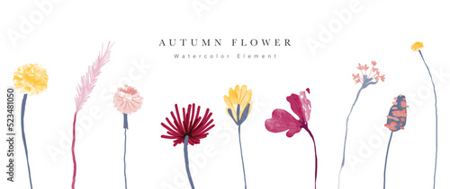 Collection of floral elements in watercolor. Set of autumn wild flowers, plants, branches, leaves and herb. Hand drawn of fall season blossom garden vectors for decor, website, graphic, decorative