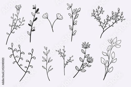 flower leaves doodle hand d...