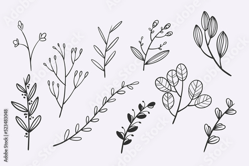 flower leaves doodle hand d...