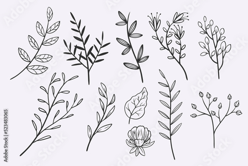 flower leaves doodle hand d...