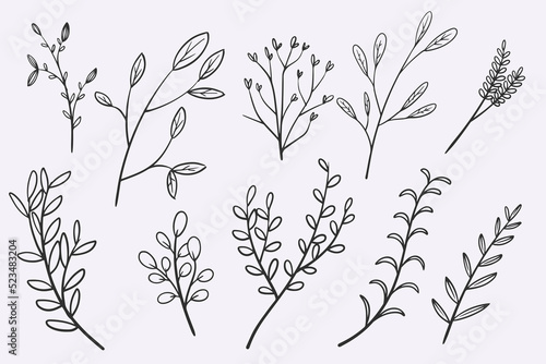 flower leaves doodle hand d...