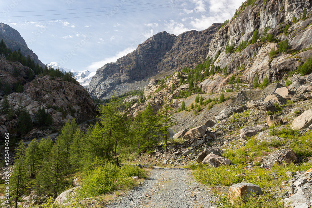 Vallée du glacier de Furi