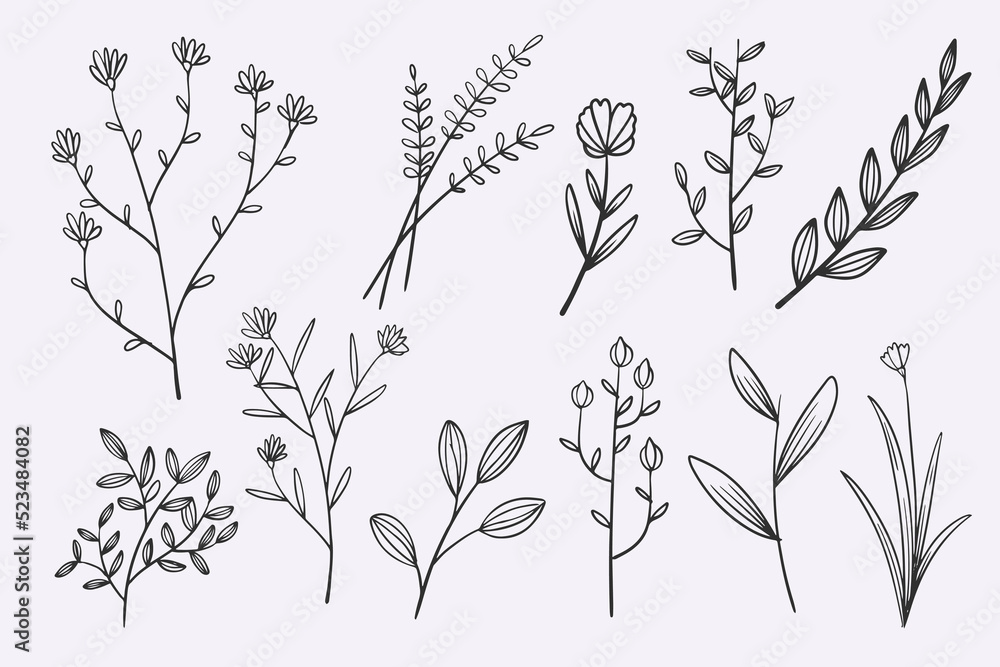 flower leaves doodle hand drawn vector illustration set