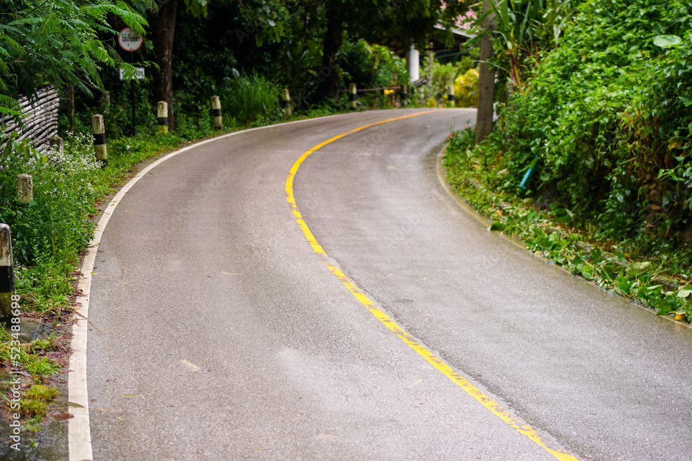 Obraz premium road in the forest
