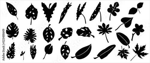 Collection of silhouette leaf elements. Set of tropical plants, leaf branch, palm, monstera, maple, foliage, flower. Hand drawn of botanical vectors for decor, website, graphic, decorative. © TWINS DESIGN STUDIO