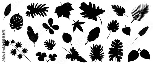 Collection of silhouette leaf elements. Set of tropical plants, leaf branch, palm, monstera, maple, foliage, clover. Hand drawn of botanical vectors for decor, website, graphic, decorative.