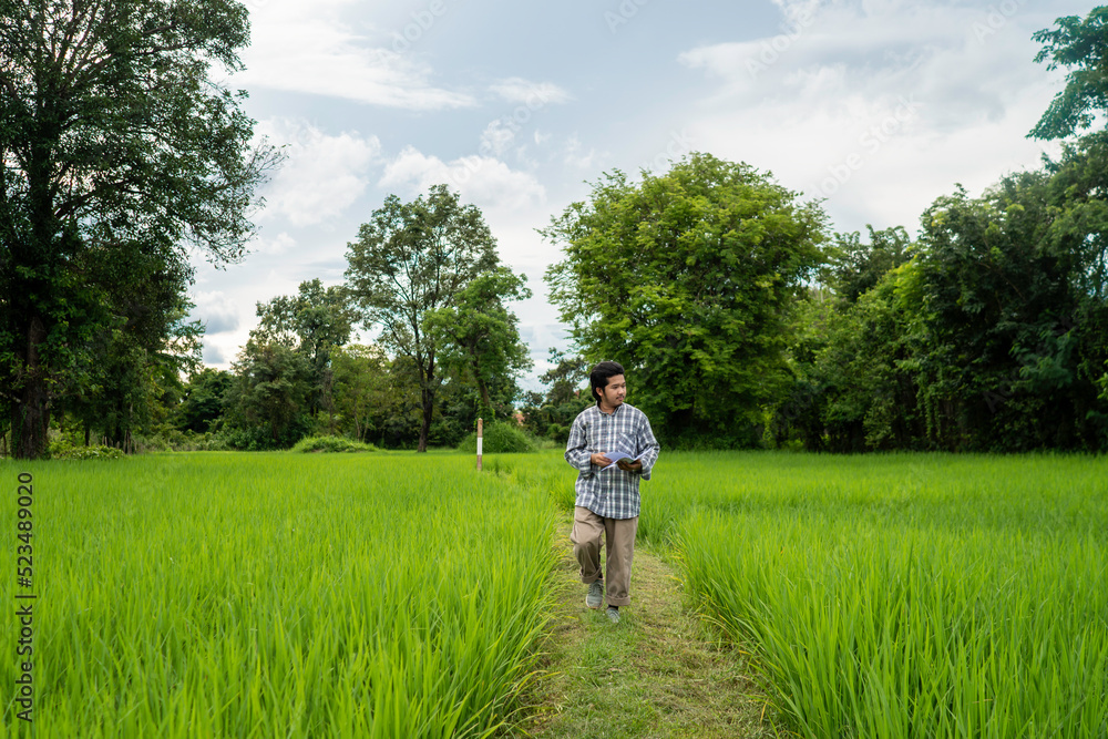 farmer walking in the fields, Asian farmers farmer walking in the fields, Asian farmers