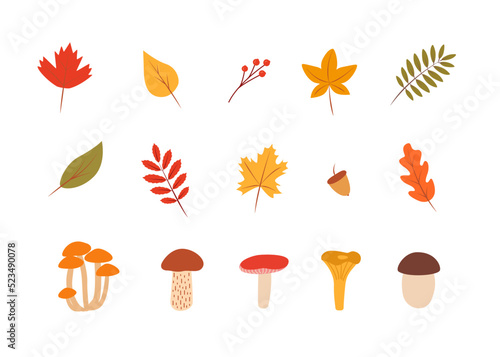 Doodle fall color set of tree leaves and mushrooms, autumn concept, vector illustration.