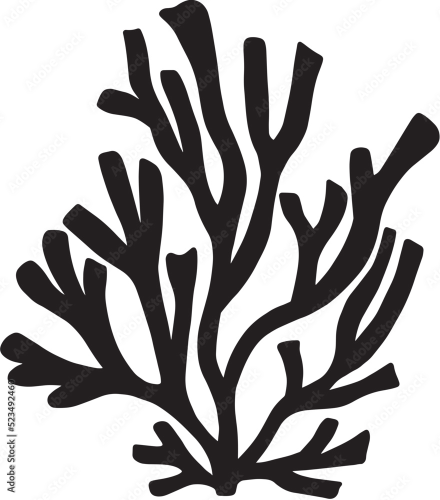 Fototapeta premium seaweed silhouette