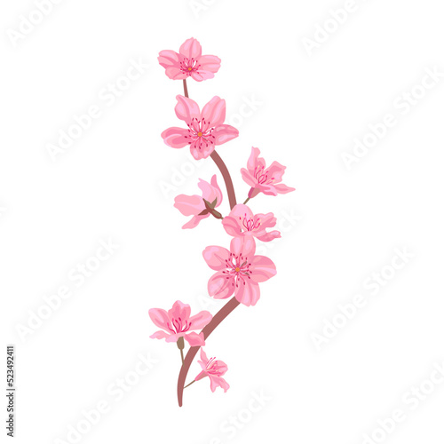 Sakura blossom. Pink flowers petals, cherry or peach tree branches with leaves. Flat vector illustrations for spring in Asia, nature, blooming