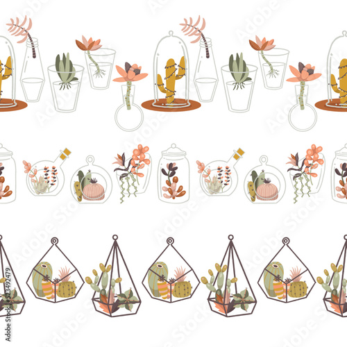 Glass Terrarium Plants Vector Seamless Horizontal Borders Set