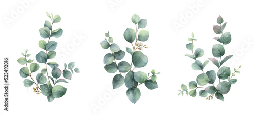 Watercolor vector set of bouquets of green eucalyptus branches.