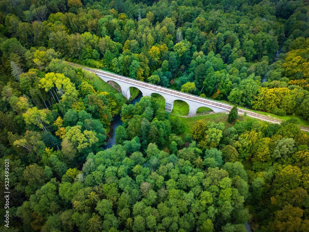 Fototapeta premium River flowing under bridge in forest