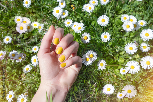 Female hand with spring nail design. Glitter yellow nail polish manicure. Female hand with chamomile flowers photo