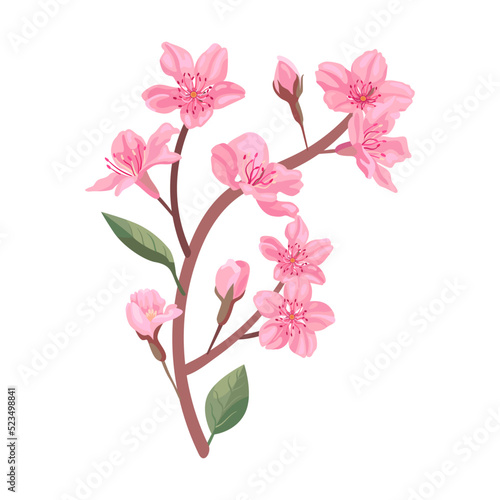 Flowers petals, cherry or peach tree branches with leaves. Flat vector illustrations for spring in Asia, nature, blooming. Sakura blossom