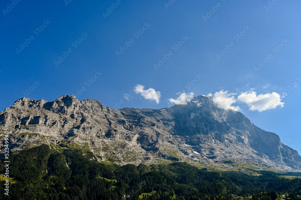 Grindelwald, Eiger, Eigernordwand, Alpen, Berner Oberland, Unterer Grindelwaldgletscher, Kleine Scheidegg, Männlichen, Lauberhorn, Bergwiese, Landwirtschaft, Sommer, Schweiz