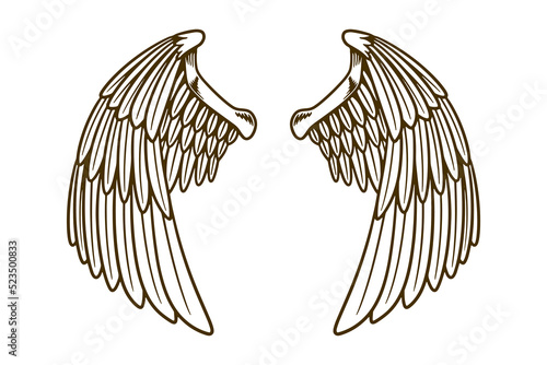 eagle wing vector illustration