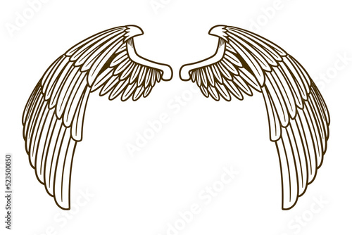 eagle wing vector illustration